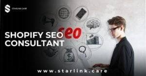 Shopify Seo Consultant