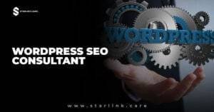 Wordpress Seo Consultant